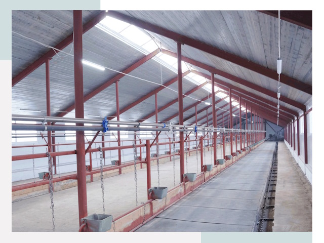 Строительство коровников в Алексеевке от 607 руб.