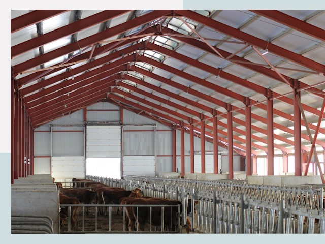 Строительство коровников в Алексеевке